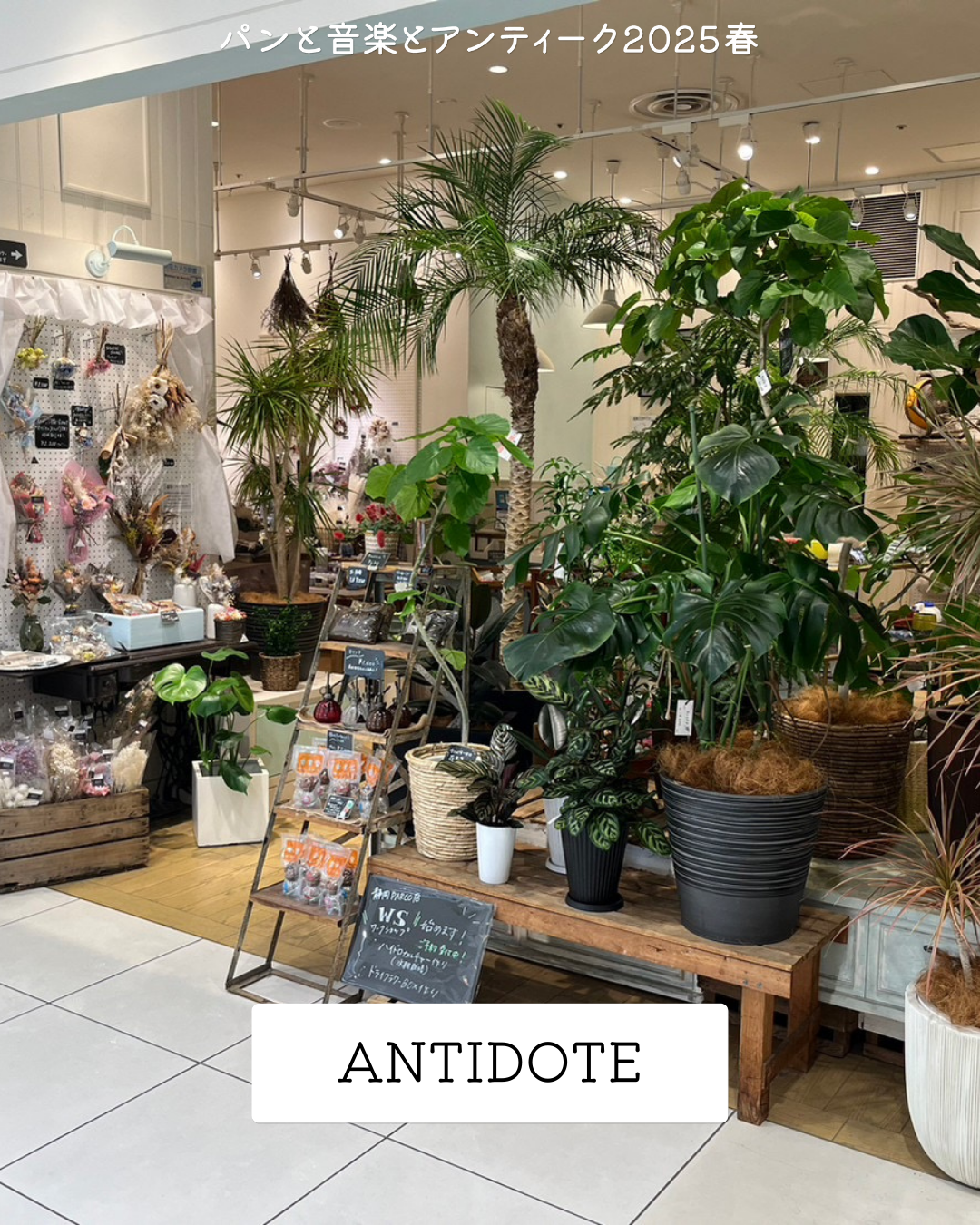 アンティーク出店者